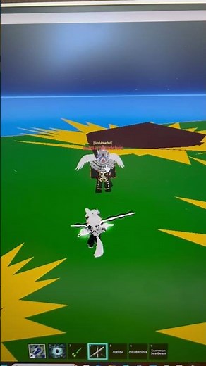 Hitting 20m honor and getting fleet admiral title. (Roblox blox fruits)