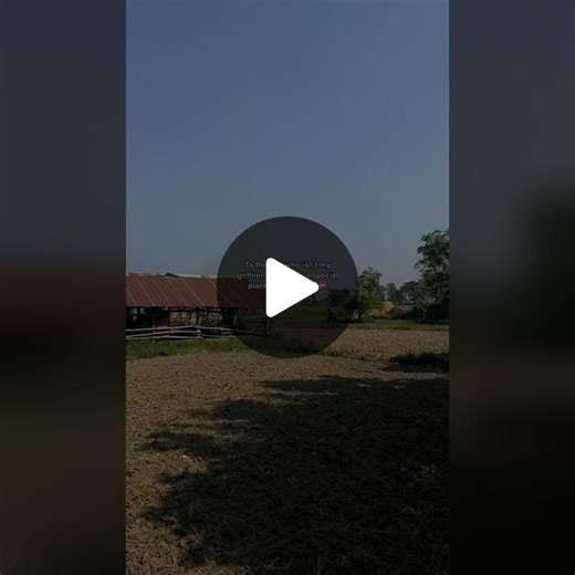 Exploring the Beauty of Rural Landscapes