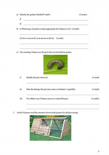 Grade 8 KNEC AGRICULTURE and Homescience— SBA 2025: Questions & Marking scheme download pdf
