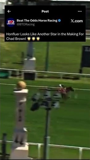 Honfluer Looks To Be The Next Stable Star For Chad Brown