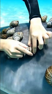 Diver Helps Fish | Gentle Barnacle Removal Underwater!