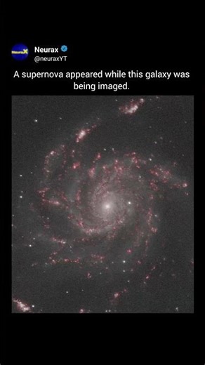 Supernova Caught in Real Time | Galaxy Explosion Captured