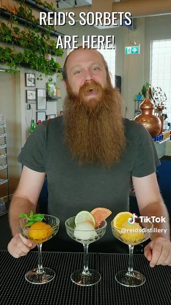 Refreshing Summer Sorbet Cocktails with Reid's Gin