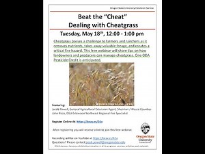 How to Beat the Cheat: Dealing with Cheatgrass