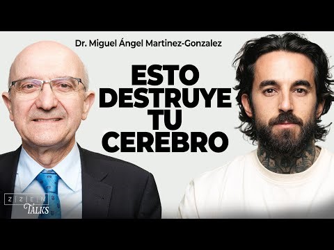 CATEDRÁTICO en HARVARD expone la CRISIS de SALUD MENTAL | Dr. Miguel Ángel & René ZZ | ZZENTALKS #68