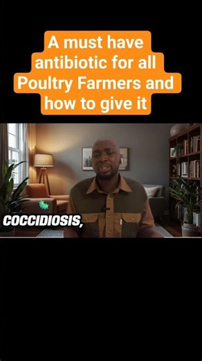 If You Dont Have This As A Poultry Farmer, You Have Failed. For Watery Diarrhea In Chickens #shorts