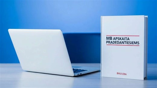 MB apskaita pradedantiesiems: aiškiai apie svarbiausius žingsnius