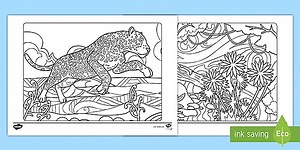 Rainforest Mindfulness Colouring Sheets