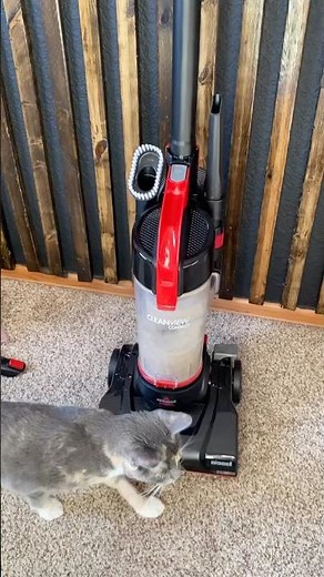 How to use the wand attachment for the Bissell Cleanview vacuum. #housecleaning