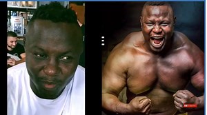 France : Bombardier vs Pitbull en MMA, ce samedi, Franc, Sa Thiès (Vidéo)