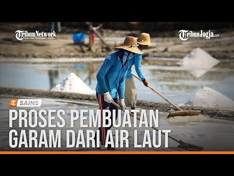 Proses Pembuatan Garam dari Air Laut