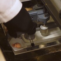 Video: Identification of Dopamine D1-Alpha Receptor Within Rodent Nucleus Accumbens by an Innovative RNA In Situ Detection Technology