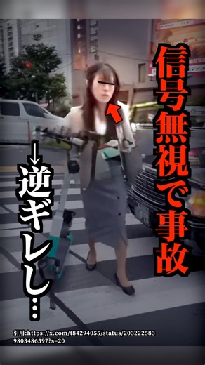 信号ガン無視で事故を起こしブチギレしたLUUP女がこちら…