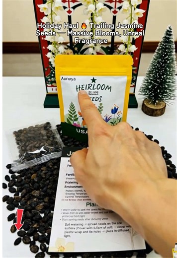 Trailing Jasmine: Enchanting Blooms for Your Decor