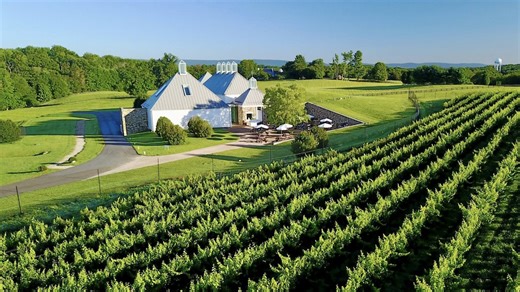 Husband-and-wife team helps give boutique winery in Va. its ‘sense of place’