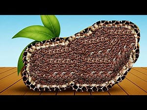 ASMR Foot Relaxation | Gentle foot sounds for deep, relaxing and soothing sleep