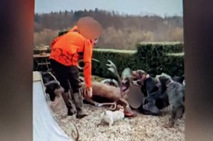 Cerf tué chez Luc Besson. La préfecture de l'Orne confirme un abattage et "une intrusion irrégulière"