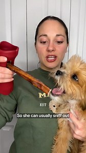 Bully Sticks that Keep Your High-Energy Pup Busy. Try this out – Sticks from Bully Bunches are made from Beef Sourced from Free Range, Grass-Fed Cattle. Each Stick is All Natural, Odour-free, Cleans Teeth and Promotes Dental Health, and is 100% Digestible and Free of Chemicals! Shop Now and Keep Your Energetic Pup Busy for Hours 👇🏼⠀⁣ ⠀⁣ fetch.bullybunches.com/puppies1 | Bully Bunches