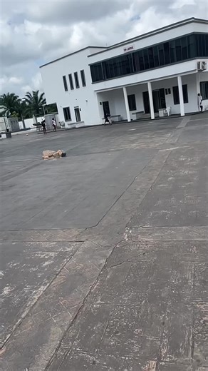 Funny daddy (@funnydaddiy)’s videos with original sound - Anthonia 🦋