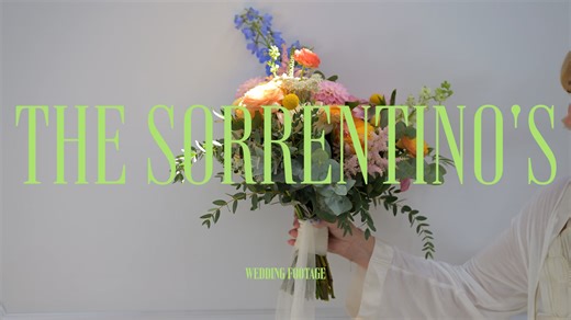 IV. Krista & James - Wedding Footage (Raw)