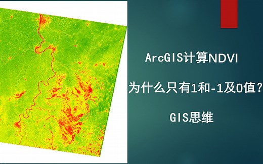 ArcGIS计算NDVI为什么只有1和-1及0值？