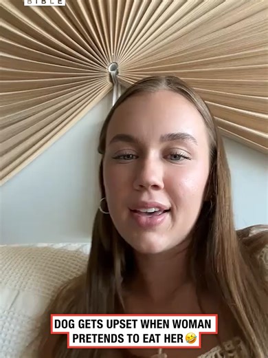 Why Dogs Trust Us: Understanding Their Belief