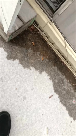 Ice Skating Rink open all day today $10 to skate for 2 hours, not responsible for any injuries! Aye ngl that was fun😂😂 | Gabriel Walker