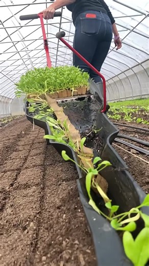 After two years of work, me and the gang at the Neversink Farm Tools have finished “The Subversive,” and it is now in stock at @neversinkfarmtools. It is our design of the paperpot transplanter. A big thanks to everyone involved. It was an amazing achievement. Lots of roadblocks along the way, failures and disappointments but we persevered and made it to the finish line. To check it out or purchase one, go to @neversinkfarmtools or follow links in my profile. #paperpot #thesubversive #transplant