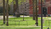 Locked shot of Harvard University on a sunny spring day in Cambridge,...