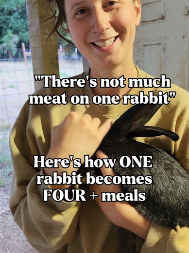 Domesticated meat rabbits have quite a bit of meat on them! More than you may think! One rabbit is four meals (the protein part, at least 🤪). And you get bonus snacks like the bellies and the loins. What is your favorite part?/ which looked the tastiest? 🐇 #meatrabbits #raisingrabbits #rabbits #sustainablemeat #leanprotein