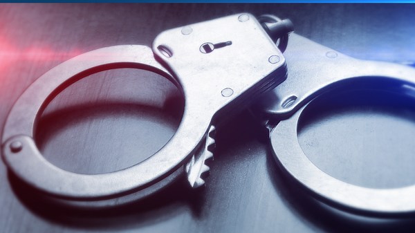 Longtime radio broadcaster among 28 arrested in Arizona sex crimes crackdown