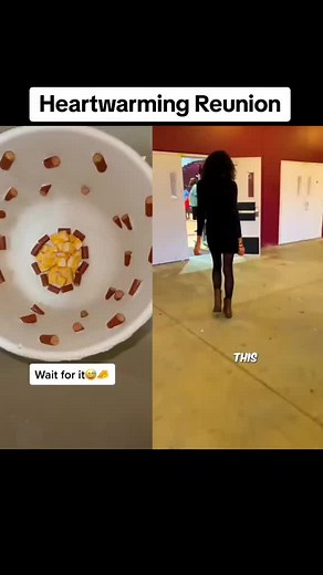 #heartwarming #reunion #facts #shortstory #CapCut #viralfacts #amazing #interestingstories #viralvideo #Challenge