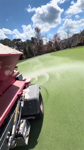 Topdressing miniverde Bermuda greens #golf #golfcourse #asmr