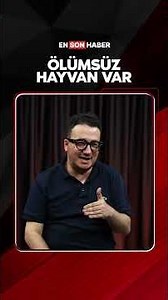 Oytun Erbaş: Ölümsüz hayvan var #shorts