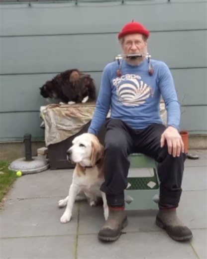 " When the Sun Stops Shining " 4 #harmonica #springvibes #dog #cat #humor #funny #harmonicaplayer