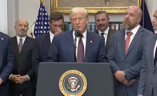 'I figured it was ABC fake news': Trump takes the low road, hurls petty insults at member of the media during press briefing