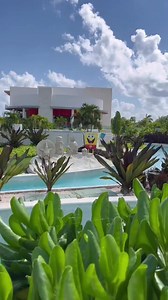 ¿Que disfrutarías al hospedarte en el Hotel Nickelodeon?🌈🌴 Habitaciones Incluye las habitaciones de tu elección. 🍽Alimentos y bebidas Copa de bienvenida con vino espumoso o smoothie de slime (sin alcohol). Smoothie de slime para niños. Todas las bebidas alcohólicas premium locales e internacionales seleccionadas así como jugos y bebidas sin alcohol. Todos los alimentos y bocadillos gourmet de especialidades. Minibar con resurtido diario de agua, cerveza y bebidas gaseosas. También incluye ser