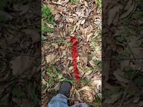 Tel & Elect Svc Locate using RD8200G