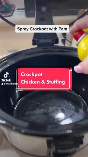 Easy Crockpot Chicken & Stuffing Recipe