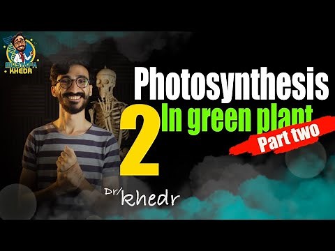 Biology | senior 2 first term 2023 | lesson 2 | photosynthesis part two | دكتور مصطفى خضر