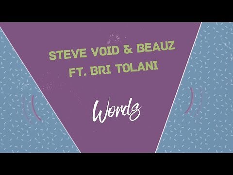 Steve Void & BEAUZ - Words (ft. Bri Tolani) Lyric Video
