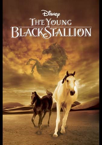 The Young Black Stallion