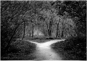 Philosophy Topics: Act and Rule Utilitarianism