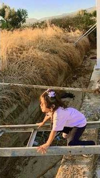 Ladder Challenge: Who’s the Fastest? Hardest Challenge #FunnyMoments #funny #challenges #World #Heba