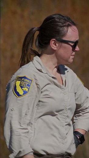 CDFW Releases Beavers into the Wild for the First Time in Nearly 75 Years