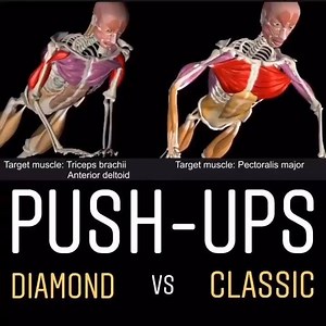 Muscle and Motion on Instagram: "Diamond push-ups vs Classic push-ups The difference between these two exercises is the movement of the shoulder joint, and the load on the elbow joint. In the classic push-up, the movement in the shoulder joint is horizontal adduction. In the diamond push-up, the movement is shoulder flexion with slight horizontal adduction, the load on the elbow joint is higher. If you are a fitness professional, the learning never ends! Sign up for free to the STRENGTH TRAINING