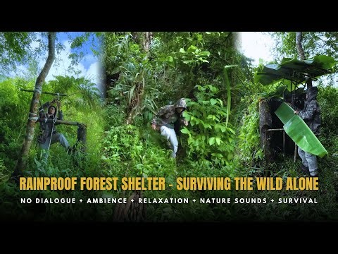 How to Make a Natural Shelter in the Wild