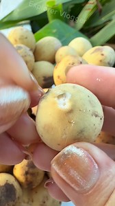 Peeling Fruit #peeling #sweet #lanzones #fruit #fruitlover❤️😋 | Explorer Vlogger
