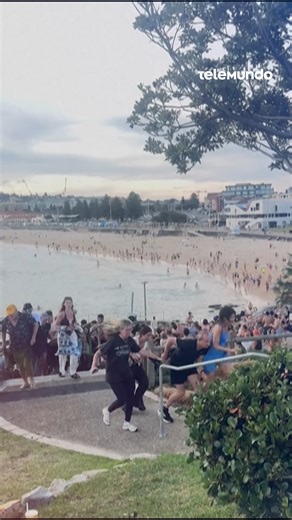 Telemundo on Instagram: "Dos hombres mataron a tiros al menos 11 personas este domingo en Bondi Beach, en Sídney, una de las playas más populares de Australia durante una celebración de la festividad judía de Janucá, un ataque calificado de "terrorista" y "antisemita" por las autoridades. Los servicios de emergencias trasladaron a 29 heridos a los hospitales de la zona, informó la policía de Nueva Gales del Sur. Uno de los sospechosos del ataque murió y el segundo está en estado crítico, agregó 