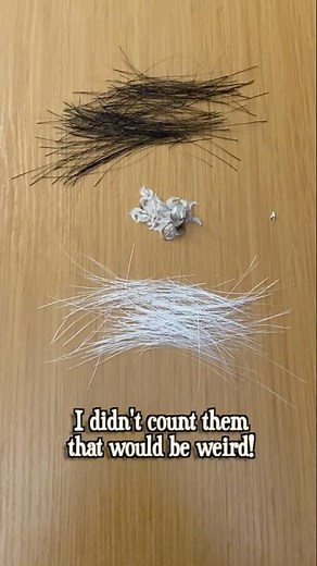 Organizing My Cat Whisker Collection 😺